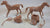 BMC Marx Western Pack Horses with Accessories 9 Pieces