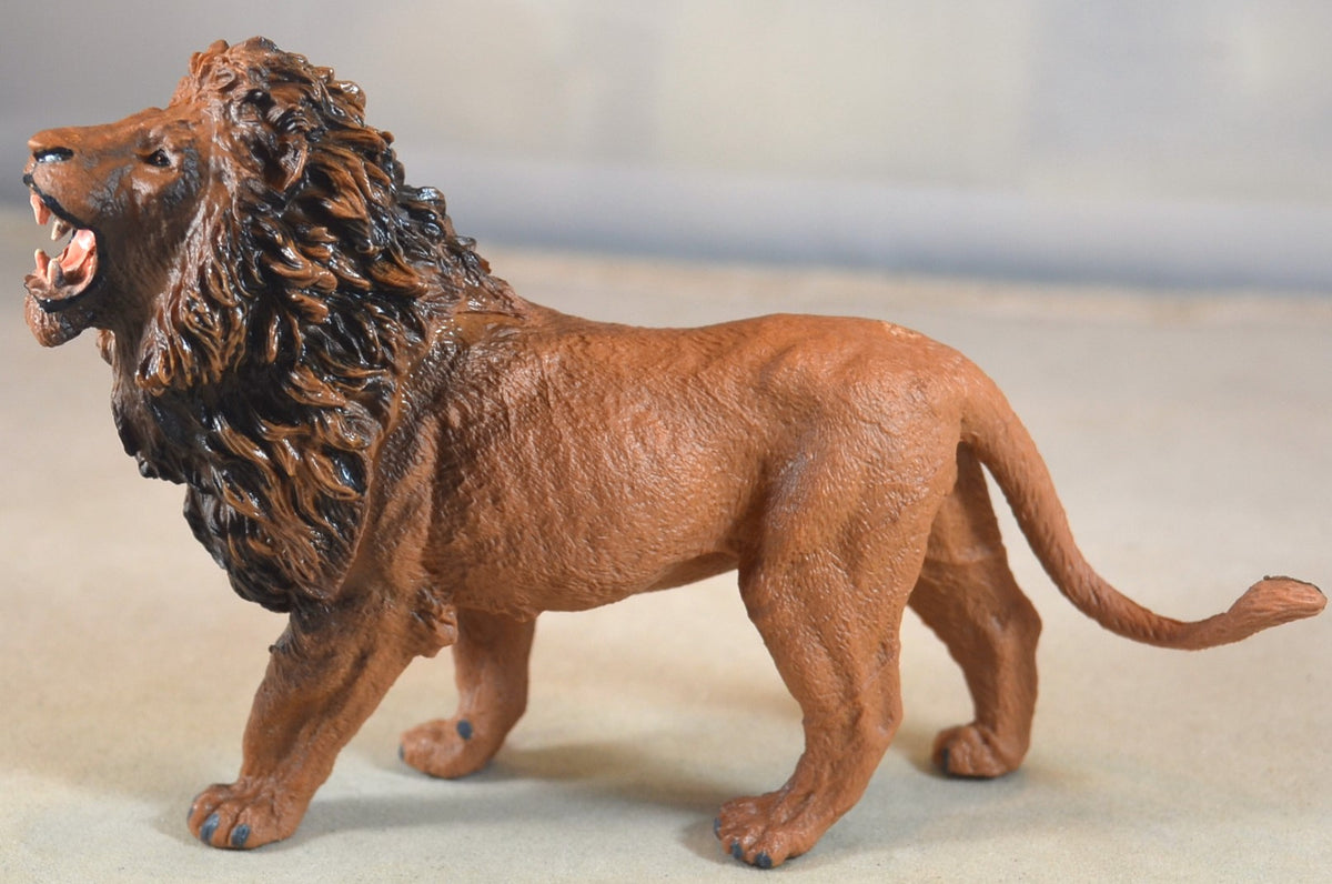 Painted Roaring Lion King of the Jungle Gladiator – MicShaun's Closet
