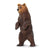 Safari Ltd. Painted Grizzly Standing Bear Revenant