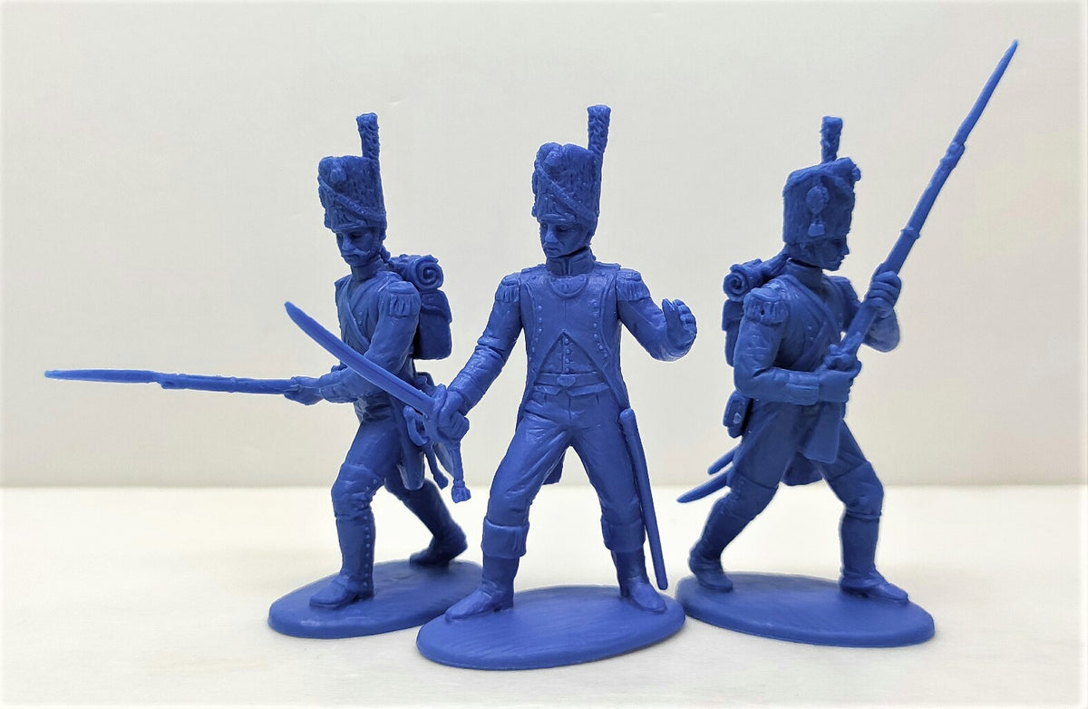 Expeditionary Force Napoleonic Wars French Old Guard Foot