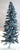 6" Blue Spruce Pine Tree