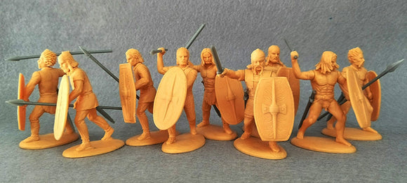 Expeditionary Force Wars of the Roman Empire Celtic Warband Infantry