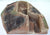 Atherton Scenics Painted WWII WWI Left Side Closed Trench 9606