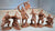 TSSD Plains Indian Warriors Set #14 Buckskin