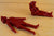 LOD American Revolution British Casualties with Weapons