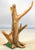 6" Plastic Dead Barren Tree for Dioramas and Battle Scenes