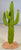 Realistic Painted 5.5" Tall Cactus for Dioramas and Battle Scenes