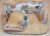 TSSD Hand Painted Battle-Damaged House/Cabin Stalingrad Playset TS116P #2