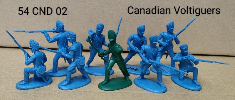 Expeditionary Force Napoleonic Wars Canadian Voltiguers 1812 Infantry