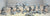 Conte Roman Legion Infantry Set 2 Silver
