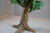 9.5" Plastic Tree for Dioramas and Battle Scenes