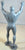 Marx Marvel Comics Amazing Spider-Man Avengers 6" Figure Superhero Dark Gray