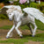 Safari Ltd. Painted Pegasus Majestic Flying Horse Figure