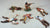 TSSD Painted Plains Indians with Casualties 6 Piece Set from Set #18